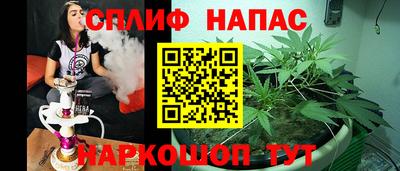 амф Гусь-Хрустальный