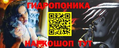 амф Гусь-Хрустальный