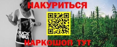 амф Гусь-Хрустальный
