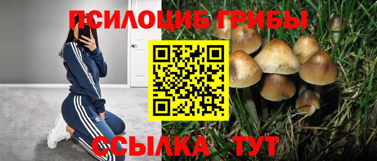 Мыски  Галлюциногенные грибы ЛСД  Галлюциногенные грибы мухоморы  магазин продажи наркотиков  Вход с VPN 