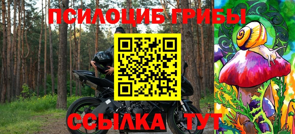 Галлюциногенные грибы Psilocybe Мыски